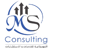 MS-CONSULTING